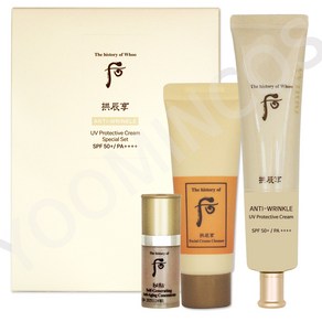 더 후 공진향 진해윤 링클 선 스페셜/SPF50+PA++++