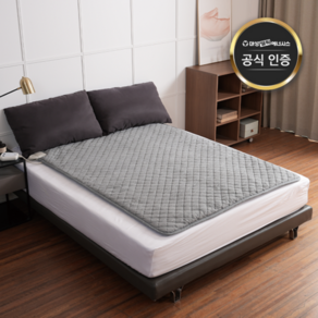 [대성쎌틱에너시스] 24년 NEW 토퍼형 카본매트 탄소매트 DSM-4101S-4201Q [싱글]