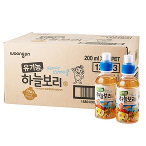 웅진 유기농 하늘보리차, 200ml, 48개