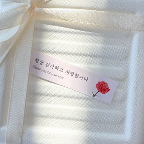 카네이션 가정의달 어버이날 스승의날 선물 포장 스티커 30개 로엣 [Love]