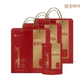 CJ 한뿌리 홍삼대보, 72개, 40ml