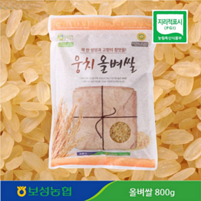 2024년 보성농협 국산 올벼쌀 800g x 5개