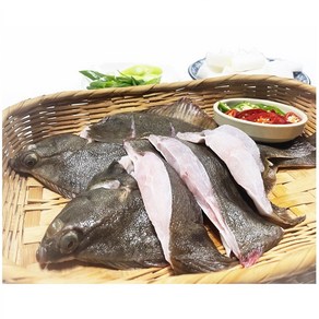 10%가격 / 남해안 삼천포 쑥국 매운탕용 자연산 활 손질 도다리 1kg(손질 후 약 800g), 손질도다리1kg, 1세트