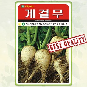 게걸무 씨앗 종자 씨 무씨앗 무씨 300립 AR, 5개