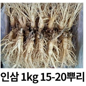 실속형 5년근 가정용인삼 1kg 15-20뿌리, 세척원하지않아요(x), 1개