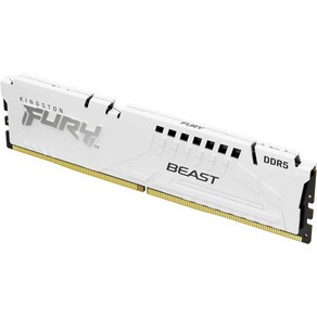 킹스턴 테크놀로지 킹스턴 퓨리 비스트 64GB 2x32GB 6000MTs DDR5 CL36 데스크탑 메모리 키트 2개  AMD 엑스포  플러그 앤 플레이  KF560C36, White_5600MT/s  16GB