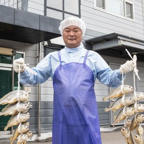 왕특대 민길이 일반굴비 부세 22cm 비늘제거, 1박스, 굴비 20미