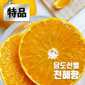 제주 천혜향 고당도 2kg 3kg 프리미엄 선물세트, 1개, 2kg가정용(중소)