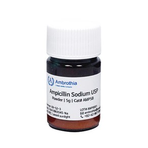 바이오피스 암브로티아 AMP5B 항생제 암피실린 ampicillin 파우더 Ampicillin sodium usp grade 실험 antibiotics 시약