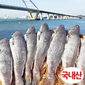 반건조 민어 1미 400g 이상 40cm내외 군산항직송, 1세트, 1개