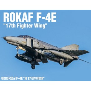 아카데미과학 12132 1/32 대한민국공군 F-4E 제 17전투비행대, 1개