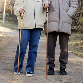 디어싱 어싱 스틱 등산 지팡이 탄탄스틱, 1개, 순동