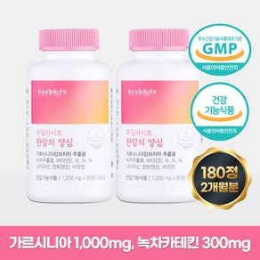 푸딜라이트 한알의 양심 1 200mg, 2개, 90정