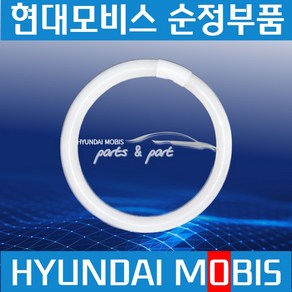 메가트럭 EG5톤 현광등 실내등 현대모비스 순정 928896A000, 1개