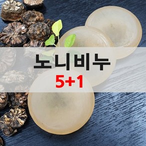 [월드씨앗나라] 노니비누 5+1, 5p, 100g