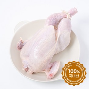 연승팜 국내산 냉동 삼계탕용 영계닭 5봉 5개, 350g