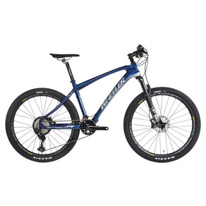 휠러 시마노XT 24단 폭스샥 카본 MTB 자전거 이글 3.7, 혼합색상, 69.85cm, 1개