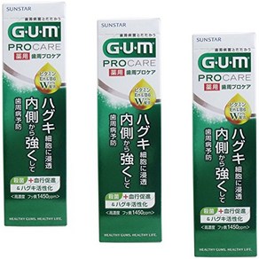 [정리 사] 약용 GUM 프로 케어 페이스트 F 90g[×3개], One Size, 3개, 90g