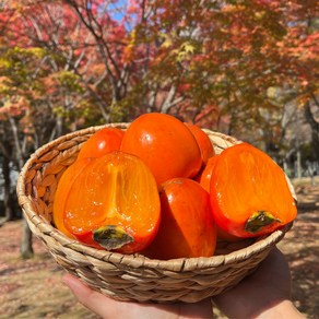 [과일정원] 임금님 대봉감 홍시 핵달콤 조선간식, 1개, 3kg 특대과 (8과 내외)