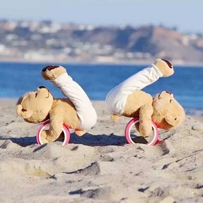 요가곰 메디 테디 베어 요가하는 곰돌이 40cm 인테리어 인형