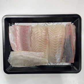 국내산 모듬회 필렛 원물 1.2kg 제철 숙성회 3-4가지 창원맛집 진해 동부회센타 오늘출발 내일도착! [원산지:국산], 1개