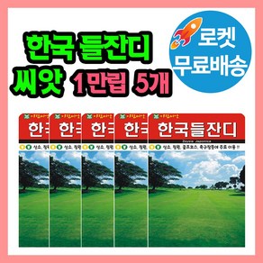 한국들잔디 1만립 축구장 골프장 잔듸, 5개