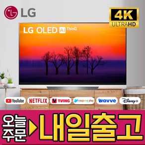 LG전자 55인치 OLED 올레드 UHD 스마트 4K TV 유튜브 넷플릭스 디즈니 OLED55E8, 55인치 / 139CM, 스탠드형, 방문설치