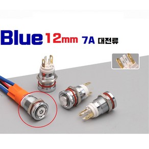 12mm [7A 고출력] 스위치 LED Blue