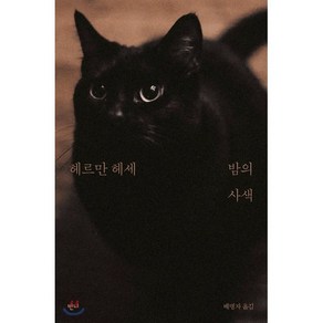 밤의 사색:헤르만 헤세 산문집