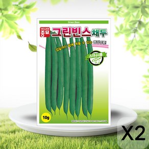 솔림텃밭몰 채두씨앗 10g 그린빈스 채두 풋강낭콩 콩씨앗 비덩굴, 2개