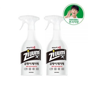 [이찬원세제] 슈가버블 지움 뿌려쓰는 곰팡이 제거제 850mLx2개, 2개, 850ml