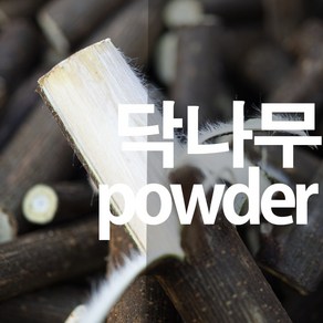 닥나무가루 분말, 100g, 1개, 1개입