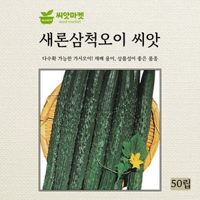 삼척오이 씨앗 오이 씨 종자 50립, 1개