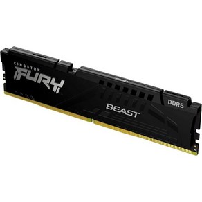 킹스턴 퓨리 비스트 32GB 2x16GB 5600MTs DDR5 CL36 데스크탑 메모리 키트 2개  AMD EXPO 플러그 앤 플레이 KF556C36BEK232, 6000MT/s_8gb