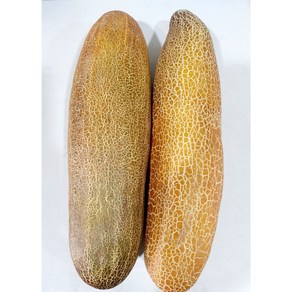 오이 노각 늙은오이 진노각 노각오이지 노각오이무침, 노각5kg, 1박스