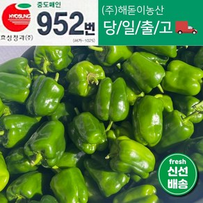 <해돋이농산> 국내산 못난이피망 초록피망 청피망 1kg 3kg 5kg 10kg(청파프리카), 10kg, 1개