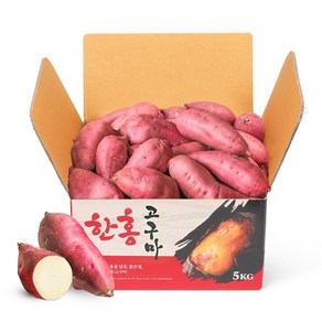 꿀고구마 대사이즈 5kg/10kg 베니하루까 모양좋은 산지직송, 1박스, 특대 5kg (300g이상)