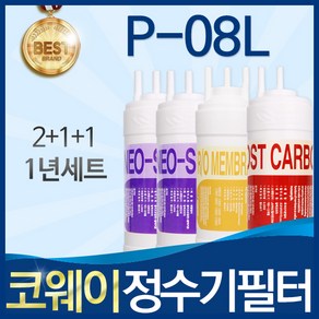 코웨이 P-08L 고품질 정수기 필터 호환 전체세트, 선택2_1년관리세트(2+1+1=4개), 1개