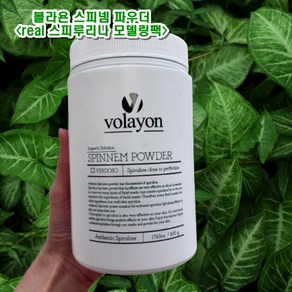 볼라욘 스피넴 파우더(수분 진정) 500g+샘플, 500g, 1개