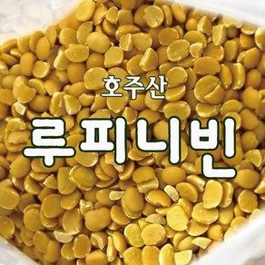 루피니빈 콩 루피니콩 호주산 1kg, 1개