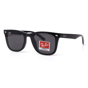 RAYBAN RB4391D 601 87 65mm 레이벤 뿔테선글라스