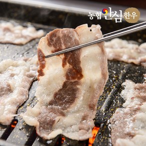 농협안심한우 1등급 차돌박이 200g, 2개