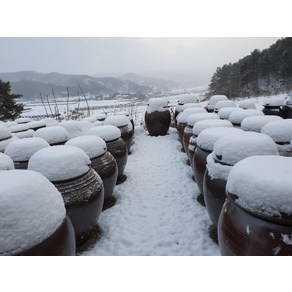 지리산 함양 용추골 시골 된장 500g 2년이상 숙성, 1개