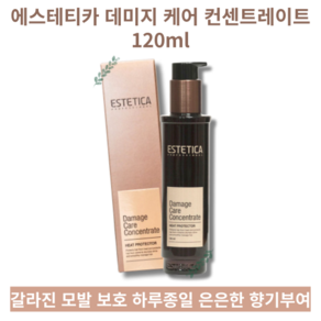 [극건조 극손상용 리뉴얼] ESTETICA Damage Cae Concentate 에스테티카 데미지 케어 컨센트레이트 열 활성 전용 끊어짐 갈라짐 엉킴 개선, 120ml, 4개