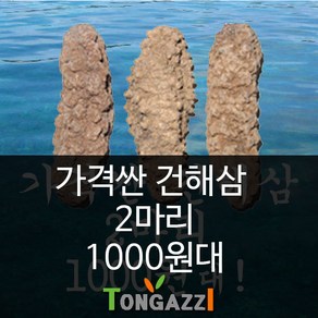 가격이 싼 건해삼 2마리 마리당 1000원대