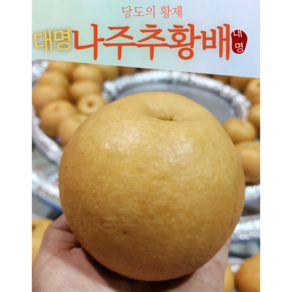 대명나주 추황배 당도의황제 특 7.5kg 8내지12과 선물용 GAP 영산강 청정지역 재배, 1박스, 특13과~17과