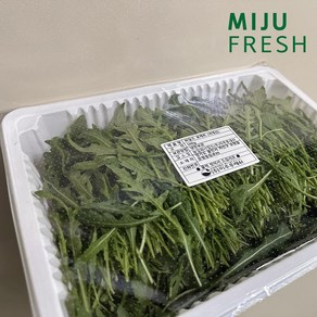 특A급 샐러드용 와일드루꼴라 베이비루꼴라 500g x 2팩 1kg