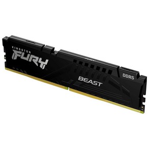 Kingston Fuy Beast 32GB(2x16GB) 6000MT/s DDR5 CL30 데스크탑 메모리  AMD Expo 플러그 앤 플레이 2개 키트 KF560C30BB, 6000MT/s_8GB