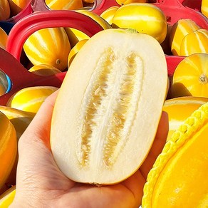재구매율높은 아삭달콤 꿀참외 성주 참외, 1박스, 2kg 혼합과 (가정용)