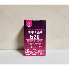 비타민하우스 액티브 엽산620 500mg x 60정